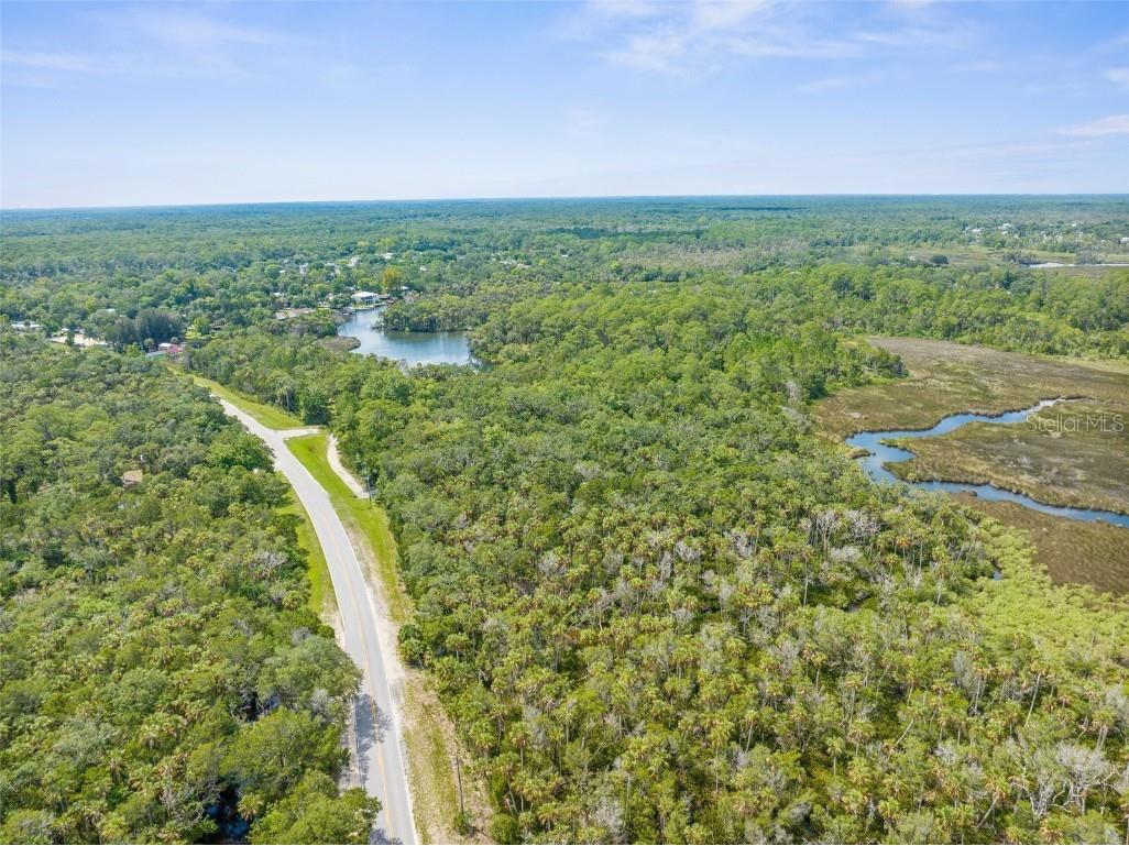 0 Marys Fish Camp Road Spring Hill FL 34607 - MUD RIVER - SPRING HEAD W7866720 image9