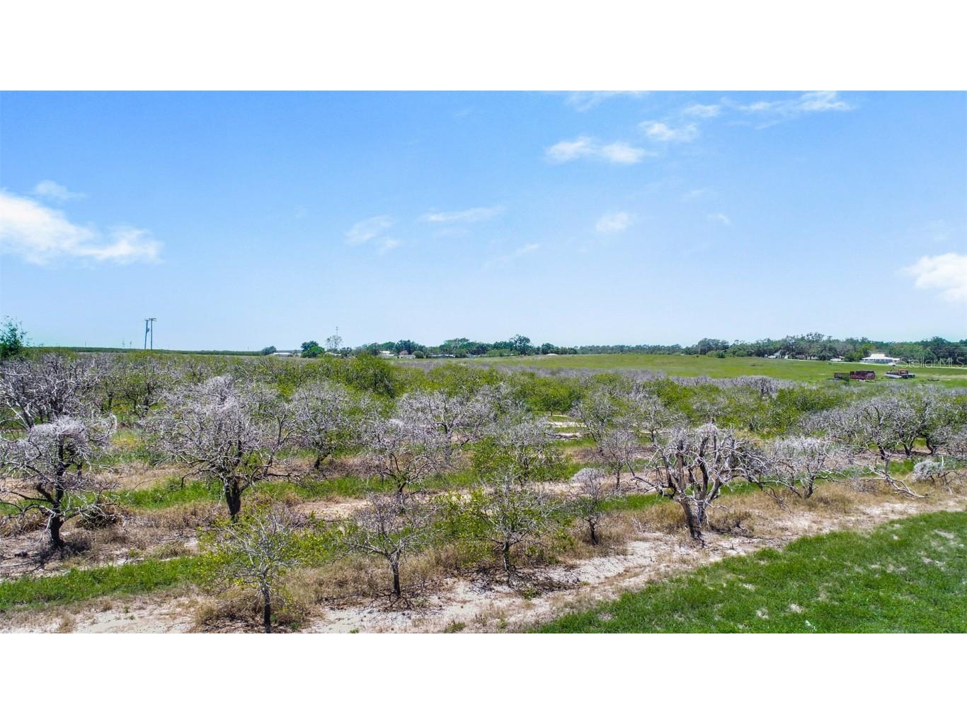 0 Maxcy Quarters Road N Frostproof FL 33843 L4938860 image1