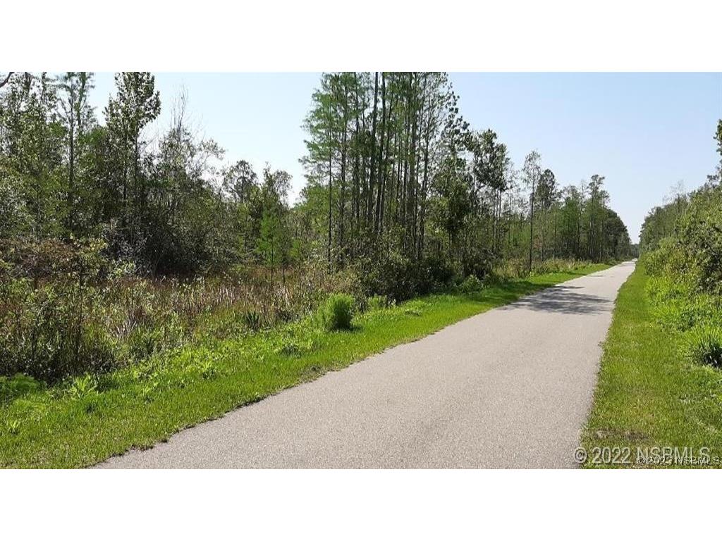 0 Maytown Road Oak Hill FL 32759 NS1075269 image1