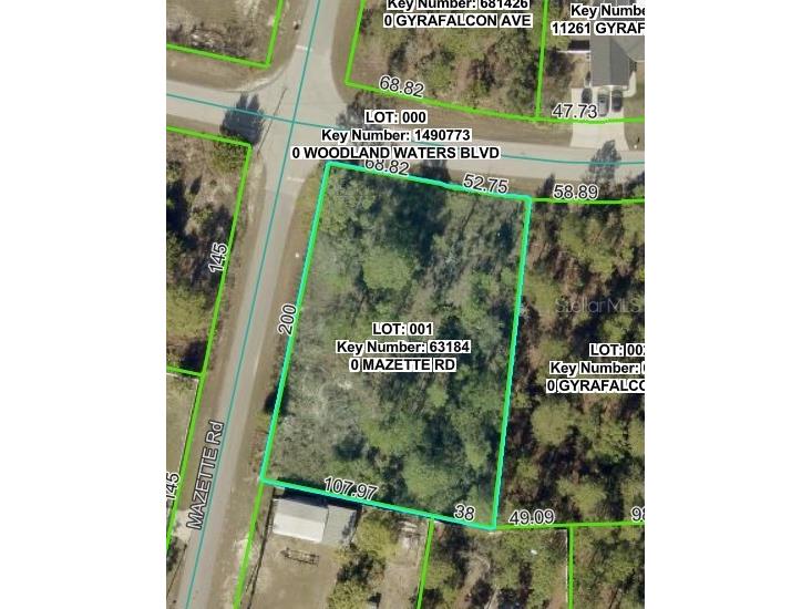 0 Mazette Road Weeki Wachee FL 34613 TB8485970 image1