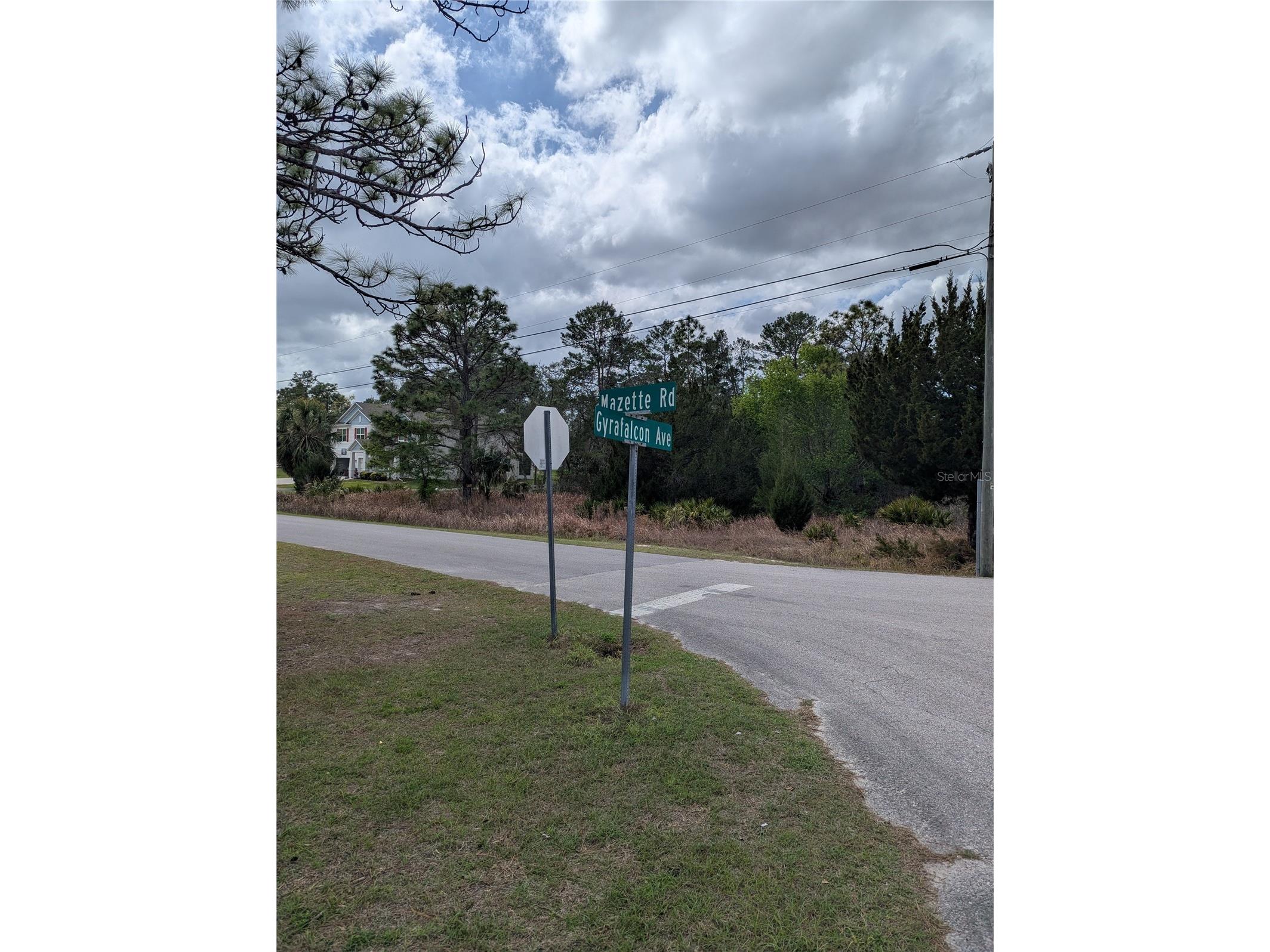 0 Mazette Road Weeki Wachee FL 34613 TB8485970 image2