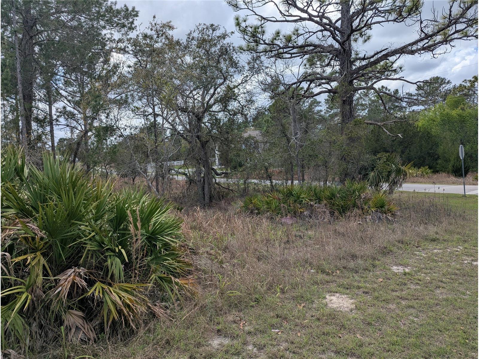 0 Mazette Road Weeki Wachee FL 34613 TB8485970 image3