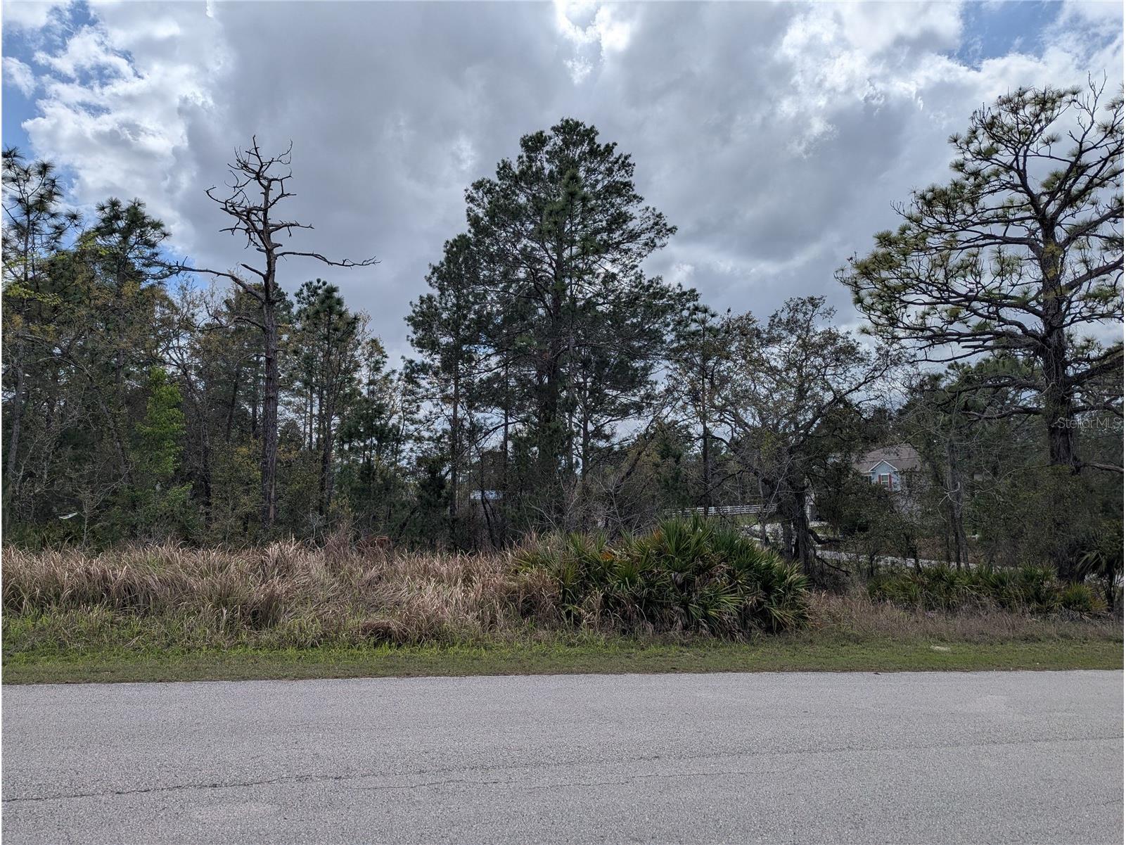 0 Mazette Road Weeki Wachee FL 34613 TB8485970 image5