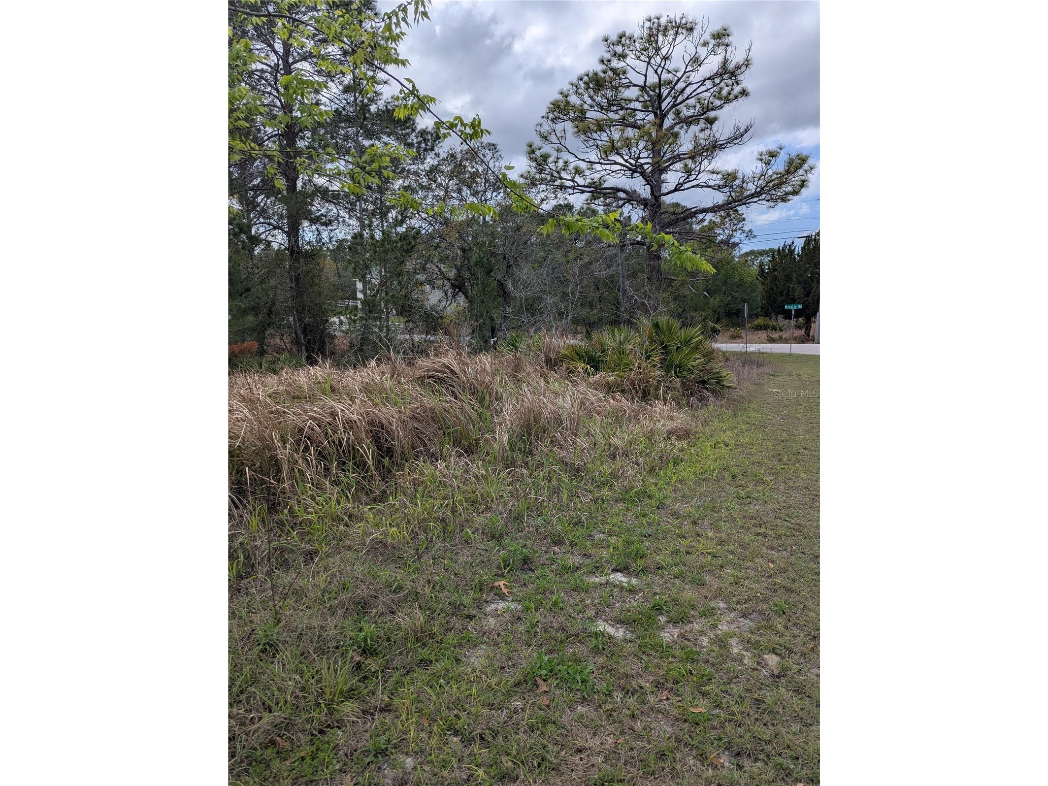 0 Mazette Road Weeki Wachee FL 34613 TB8485970 image6