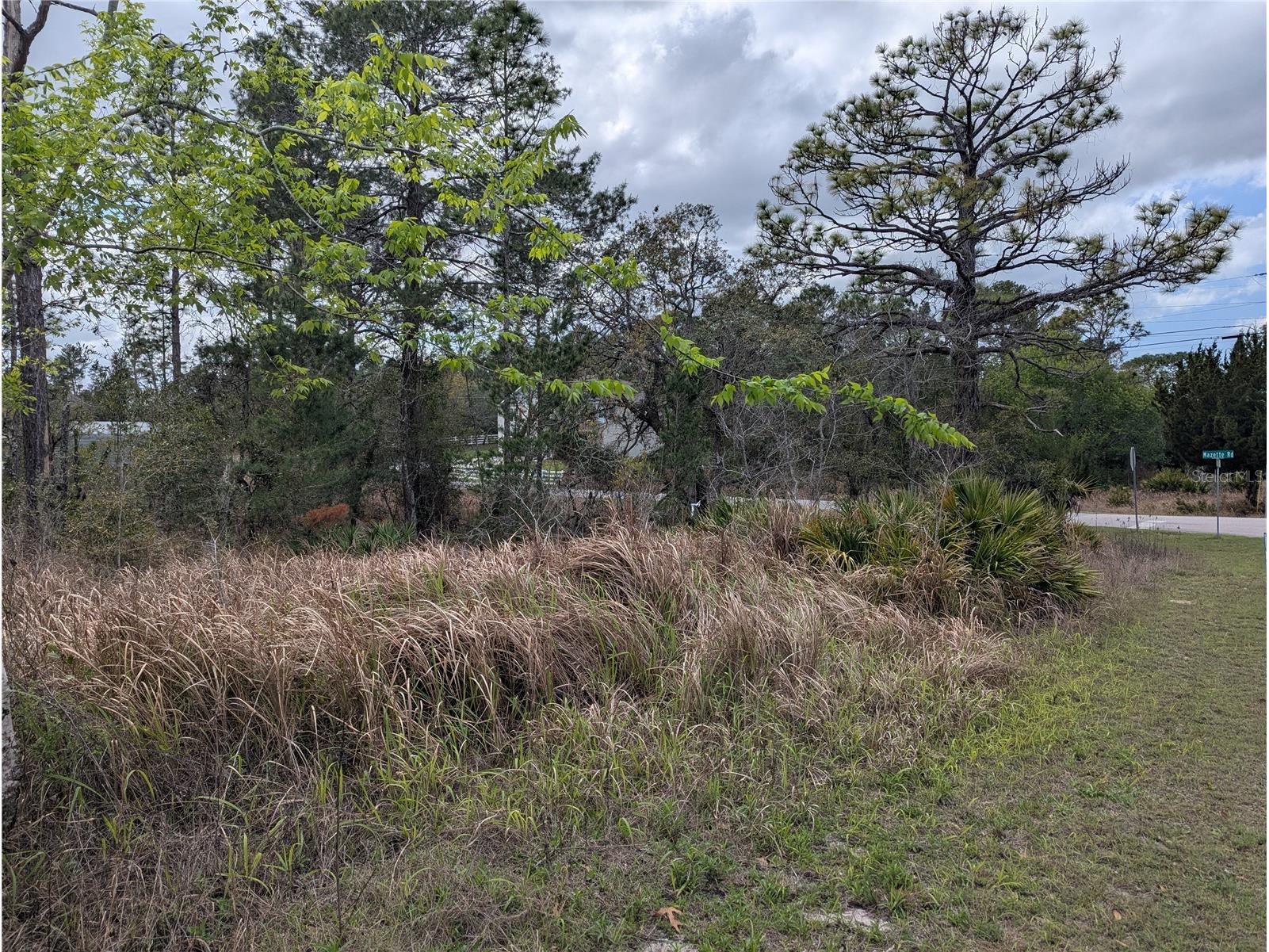 0 Mazette Road Weeki Wachee FL 34613 TB8485970 image7