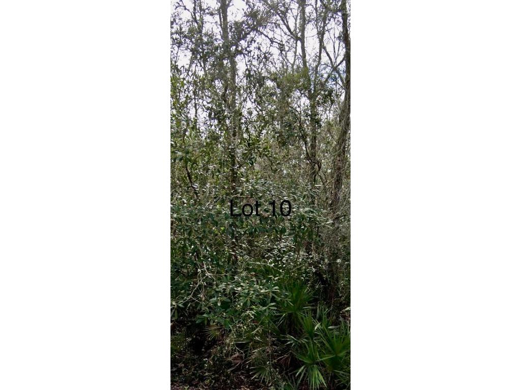 0 Medicine Stone Drive #10 Webster FL 33597 A4645433 image1