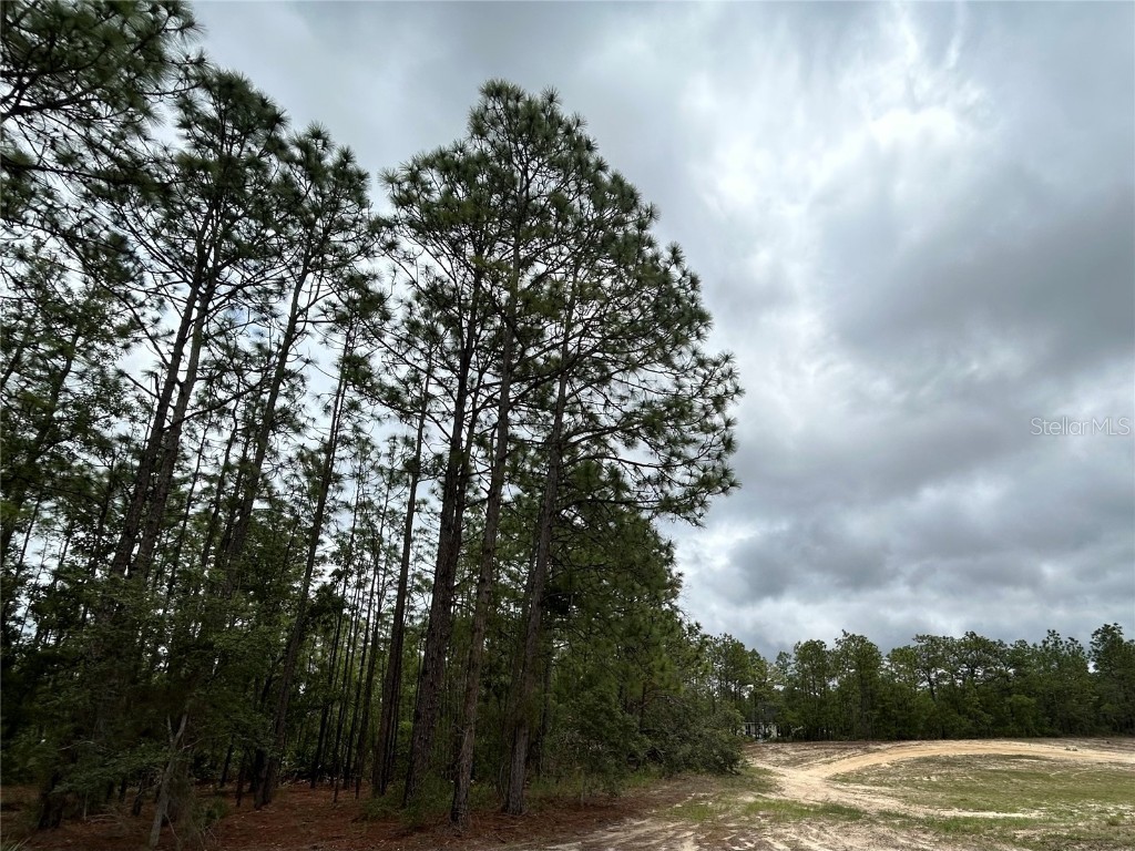 0 Mellon Road Weeki Wachee FL 34614 TB8385577 image4