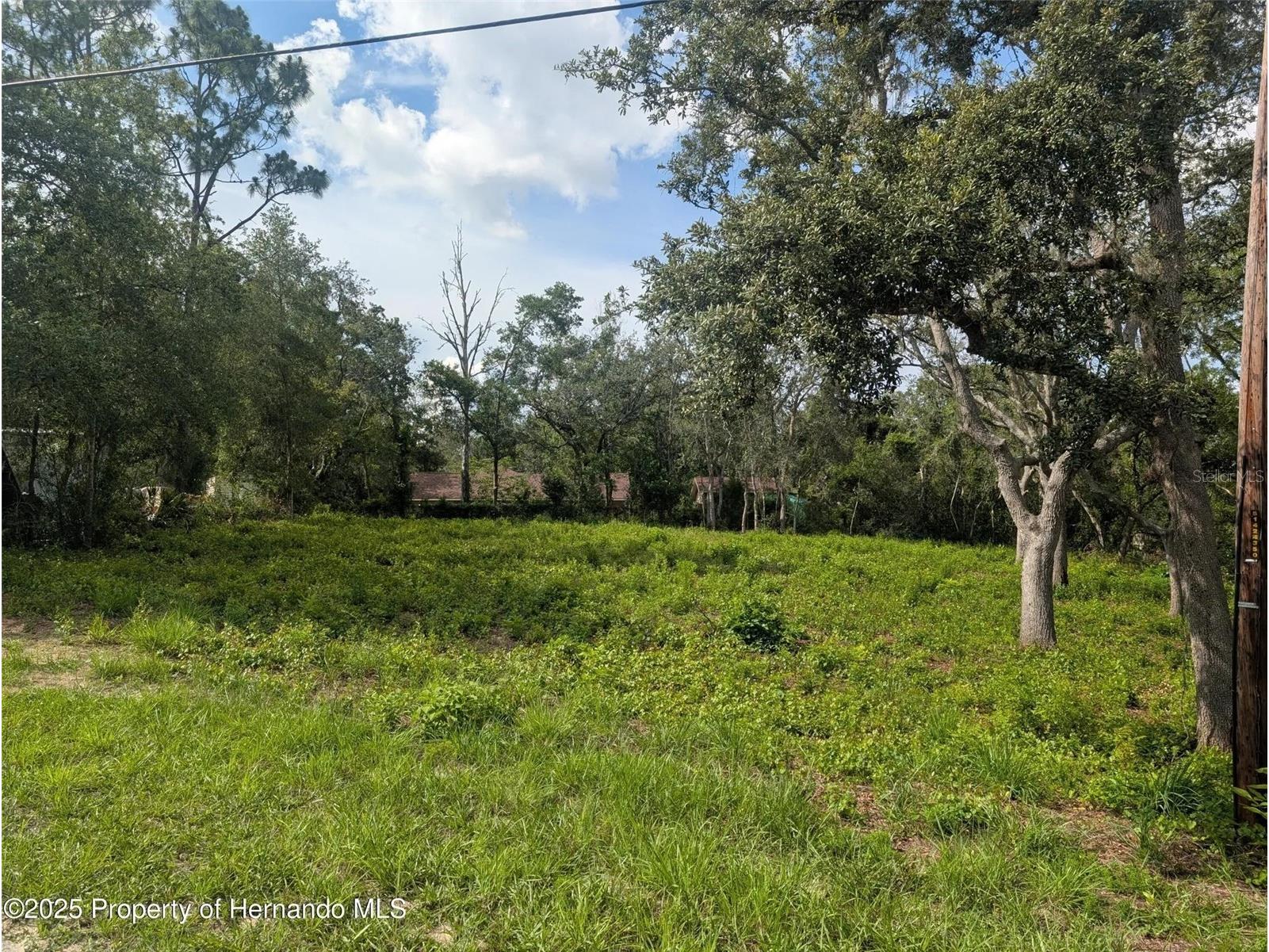 0 Merlin Circle Dade City FL 33523 - WITHLACOOCHEE RIVER TB8501846 image1