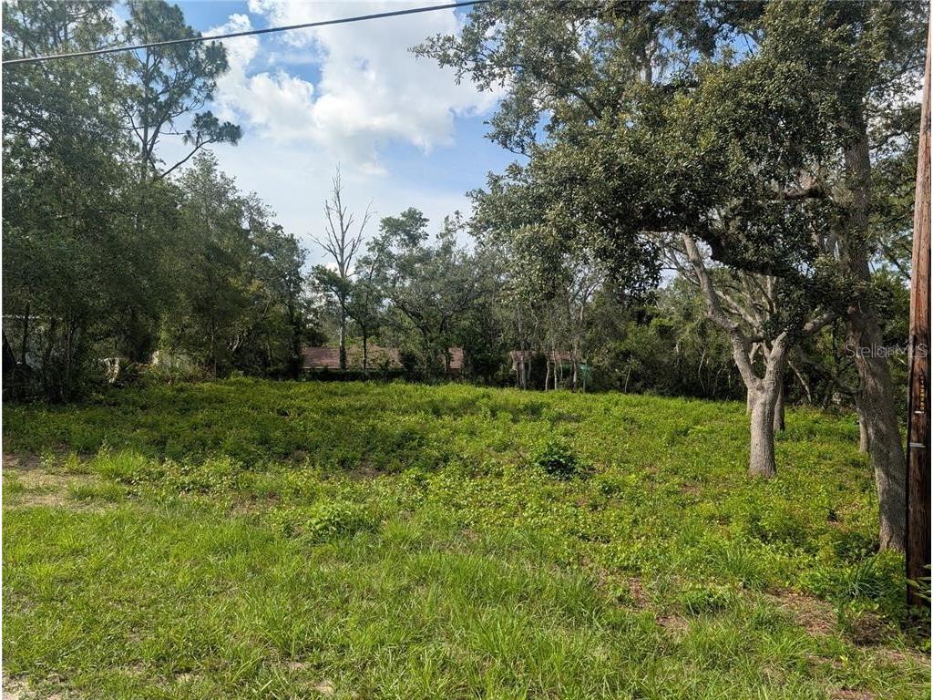 0 Merlin Circle Dade City FL 33523 - WITHLACOOCHEE RIVER TB8501846 image2