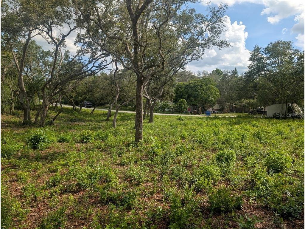 0 Merlin Circle Dade City FL 33523 - WITHLACOOCHEE RIVER TB8501846 image3