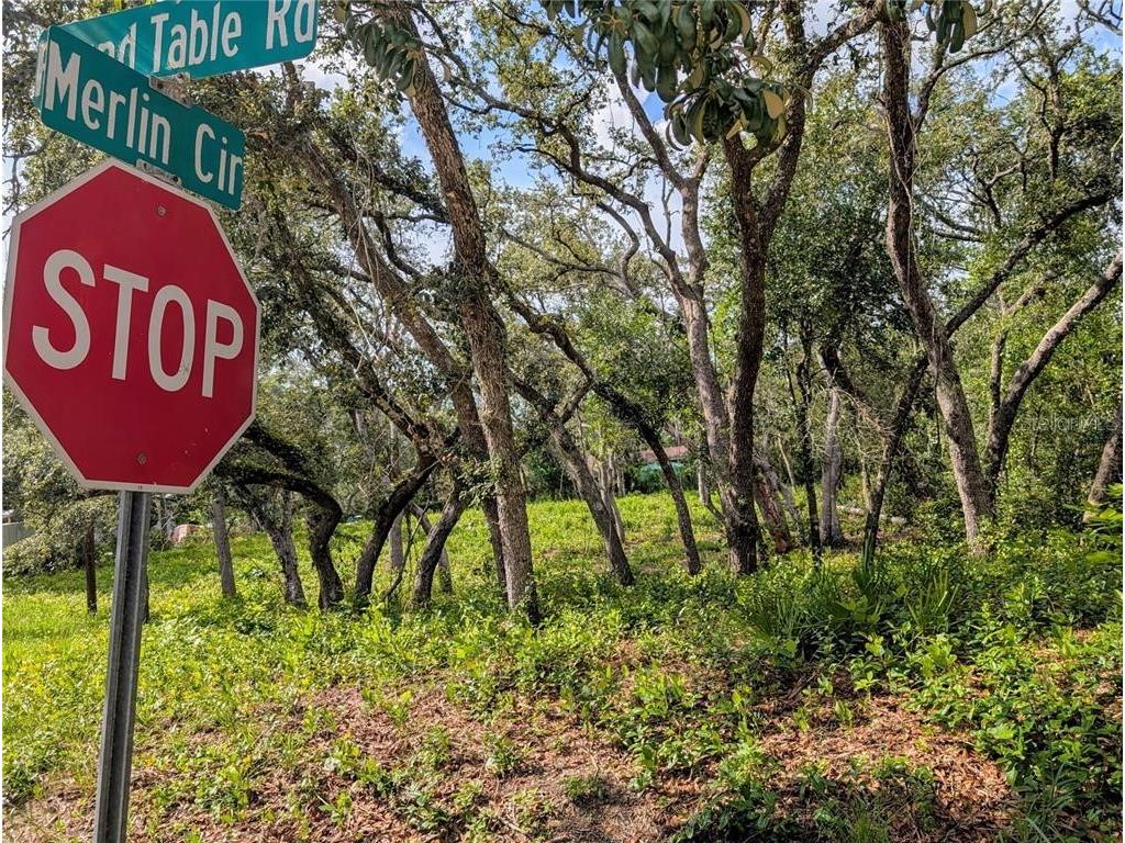 0 Merlin Circle Dade City FL 33523 - WITHLACOOCHEE RIVER TB8501846 image4