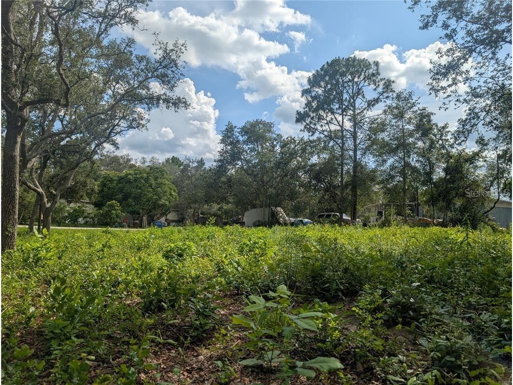 0 Merlin Circle Dade City FL 33523 - WITHLACOOCHEE RIVER TB8501846 image5
