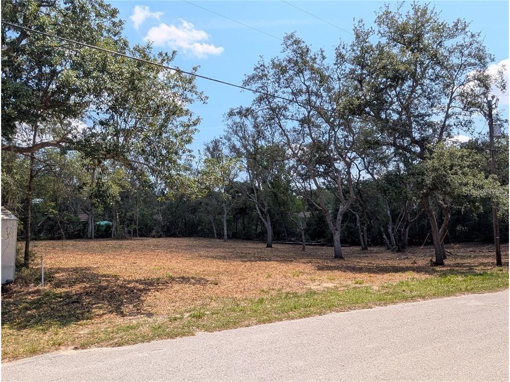 0 Merlin Circle Dade City FL 33523 - WITHLACOOCHEE RIVER TB8501846 image7