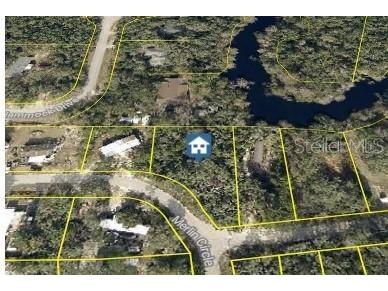 0 Merlin Circle Dade City FL 33523 - WITHLACOOCHEE RIVER TB8501846 image8