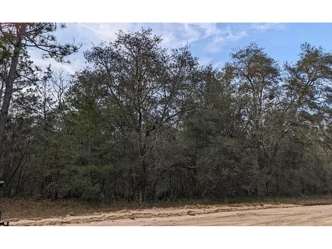 0 Michael Interlachen FL 32148 J971511 image1