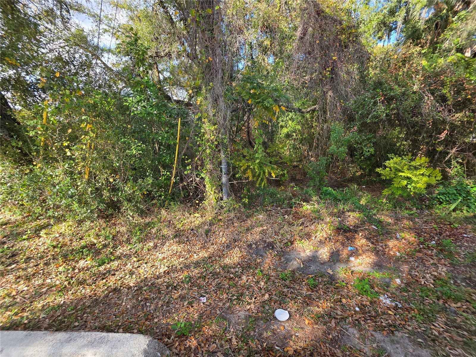 0 Michigan Avenue Kissimmee FL 34744 S5145426 image12