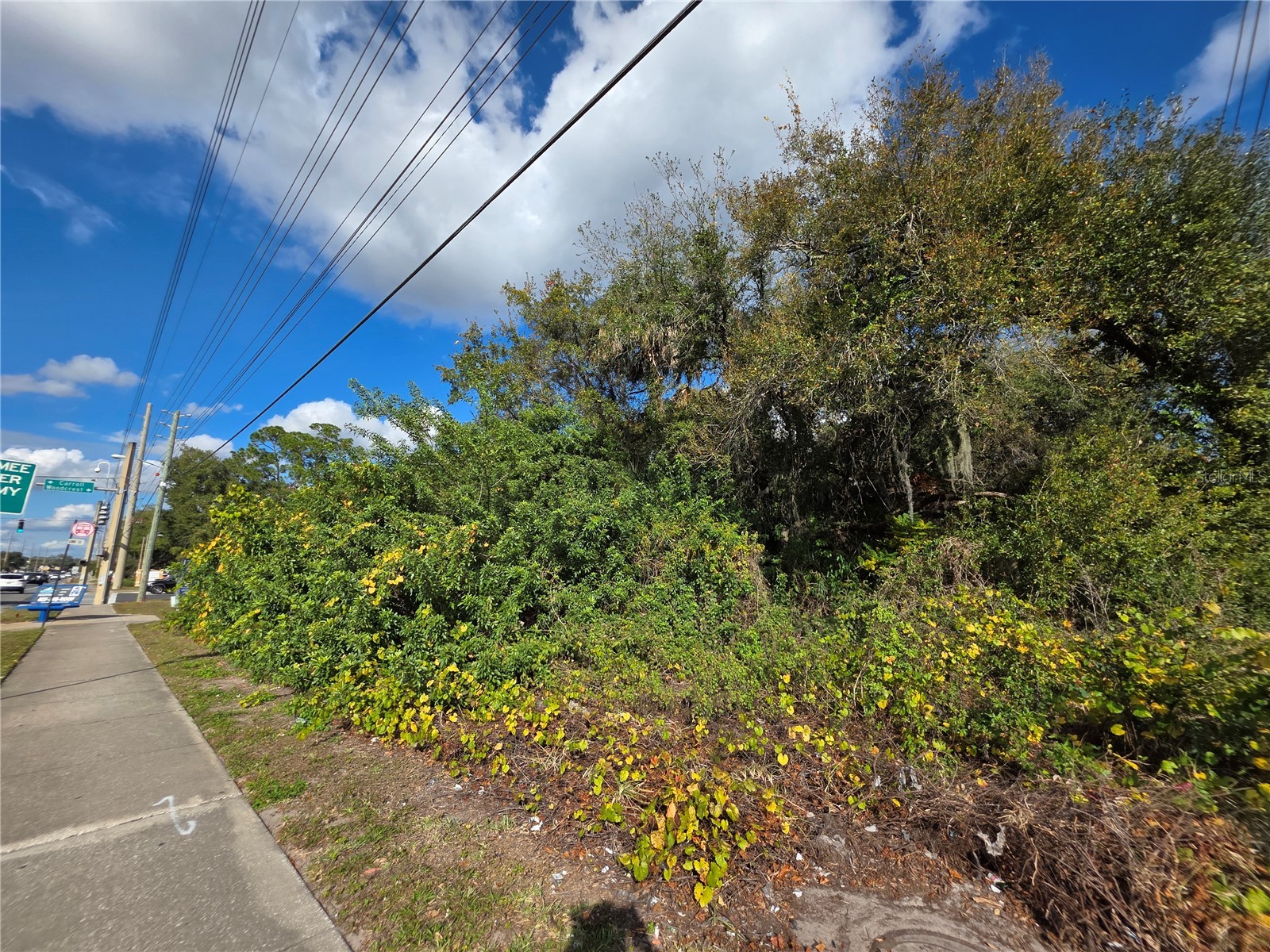 0 Michigan Avenue Kissimmee FL 34744 S5145426 image6