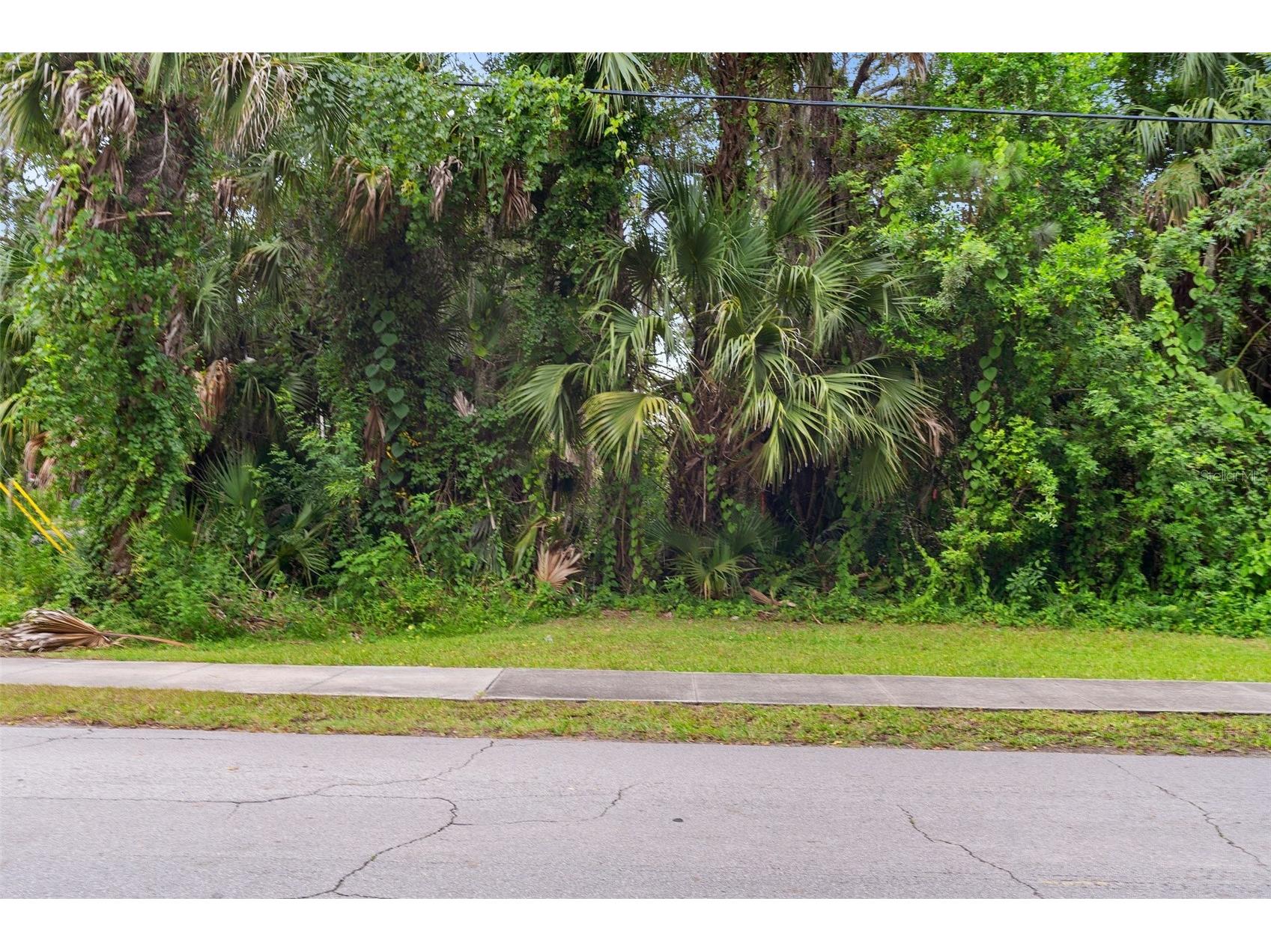 0 Milford Place New Smyrna Beach FL 32168 V4944631 image3