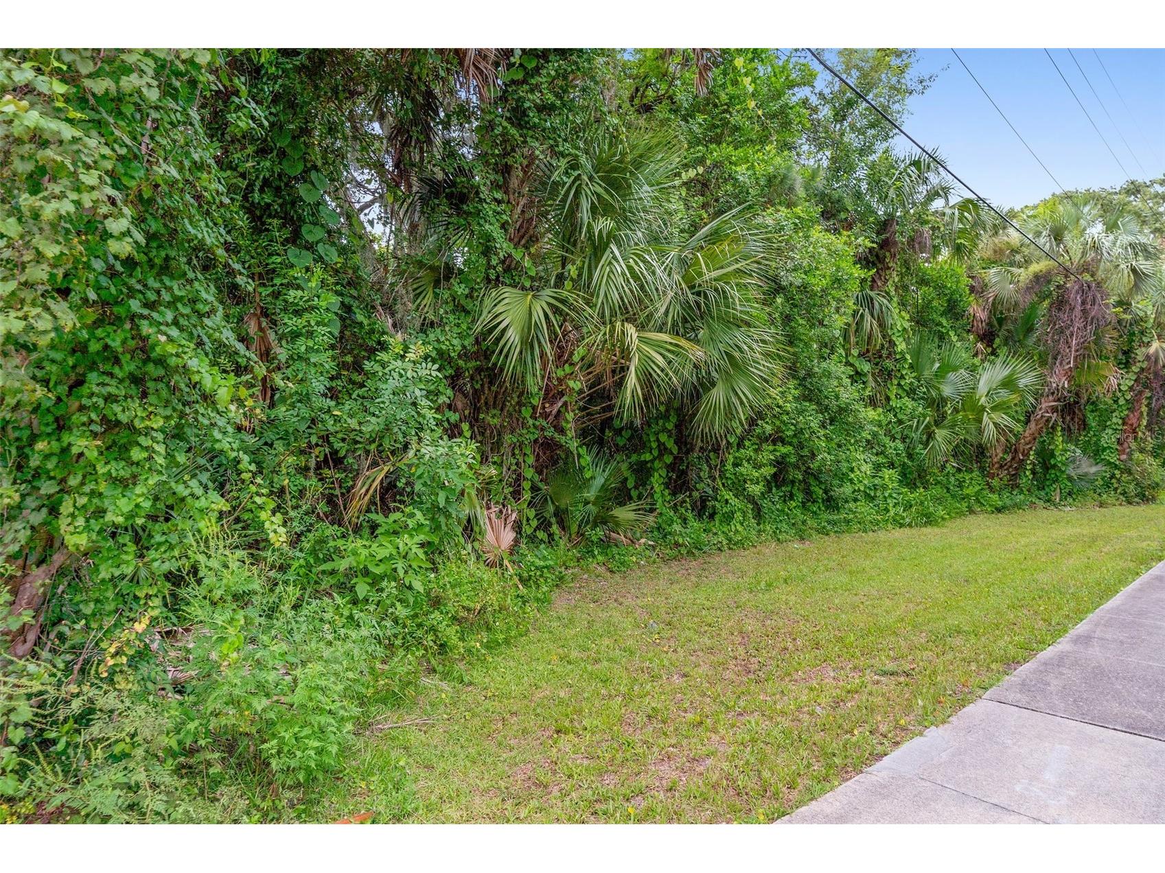 0 Milford Place New Smyrna Beach FL 32168 V4944631 image4