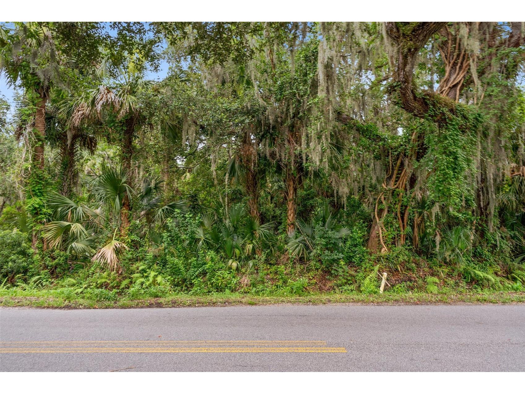 0 Milford Place New Smyrna Beach FL 32168 V4944631 image5