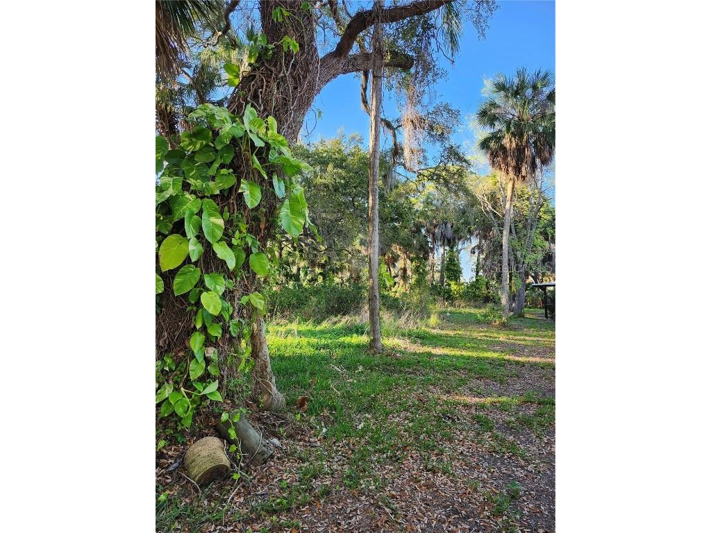 0 Miller Bayou Drive Port Richey FL 34668 T3505159 image1