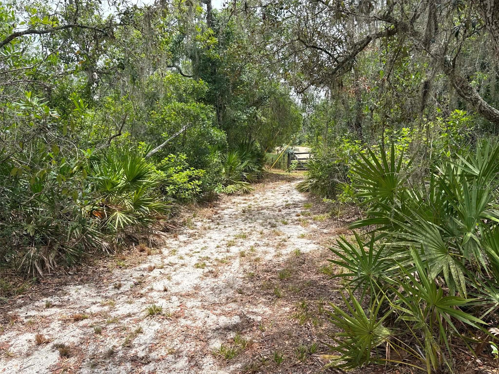 0 Millstream Drive Groveland FL 34736 S5151525 image10