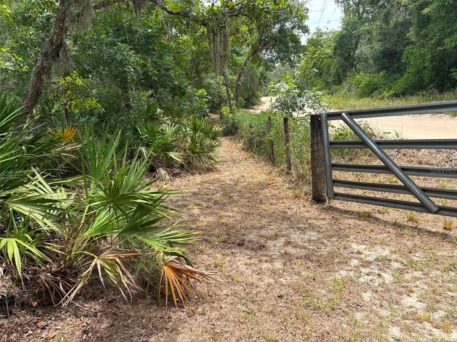 0 Millstream Drive Groveland FL 34736 S5151525 image4