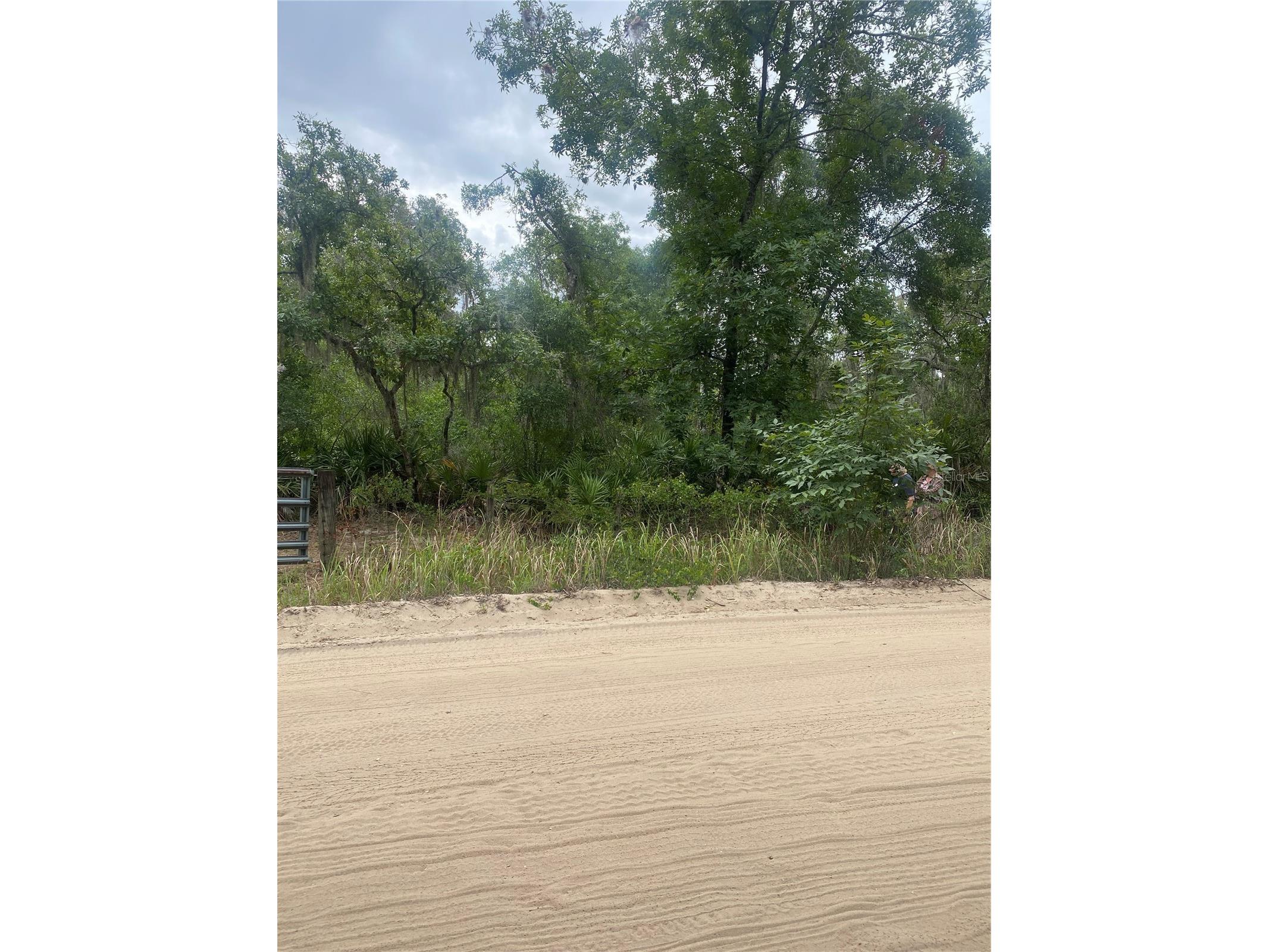0 Millstream Drive Groveland FL 34736 S5151525 image5