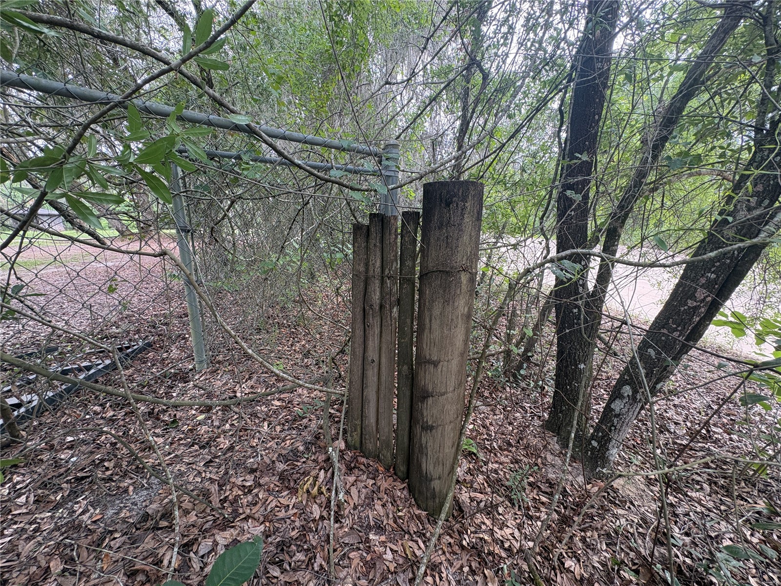 0 Millstream Drive Groveland FL 34736 S5151525 image6