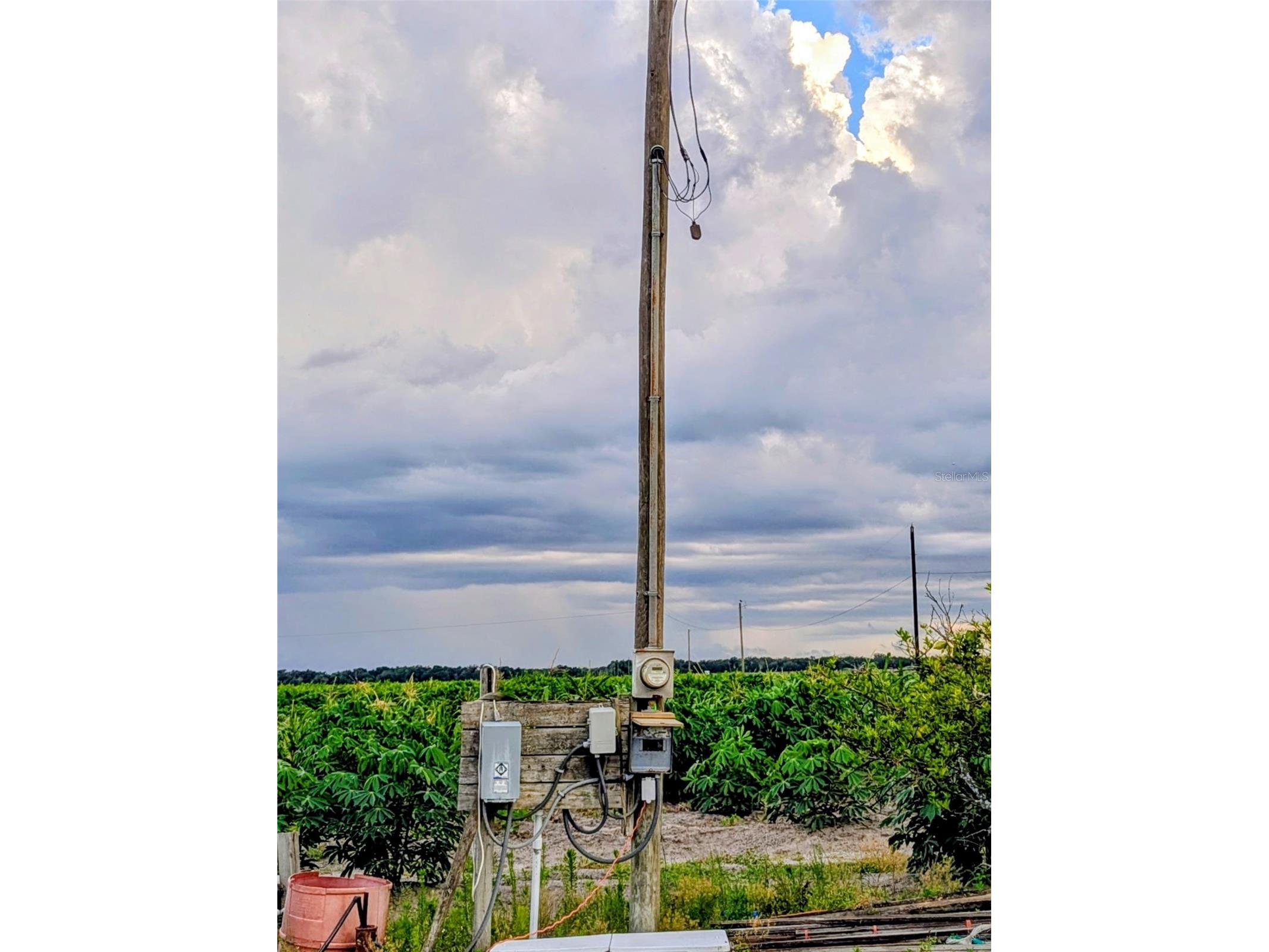 0 Mineral Branch Road Zolfo Springs FL 33890 TB8512492 image10