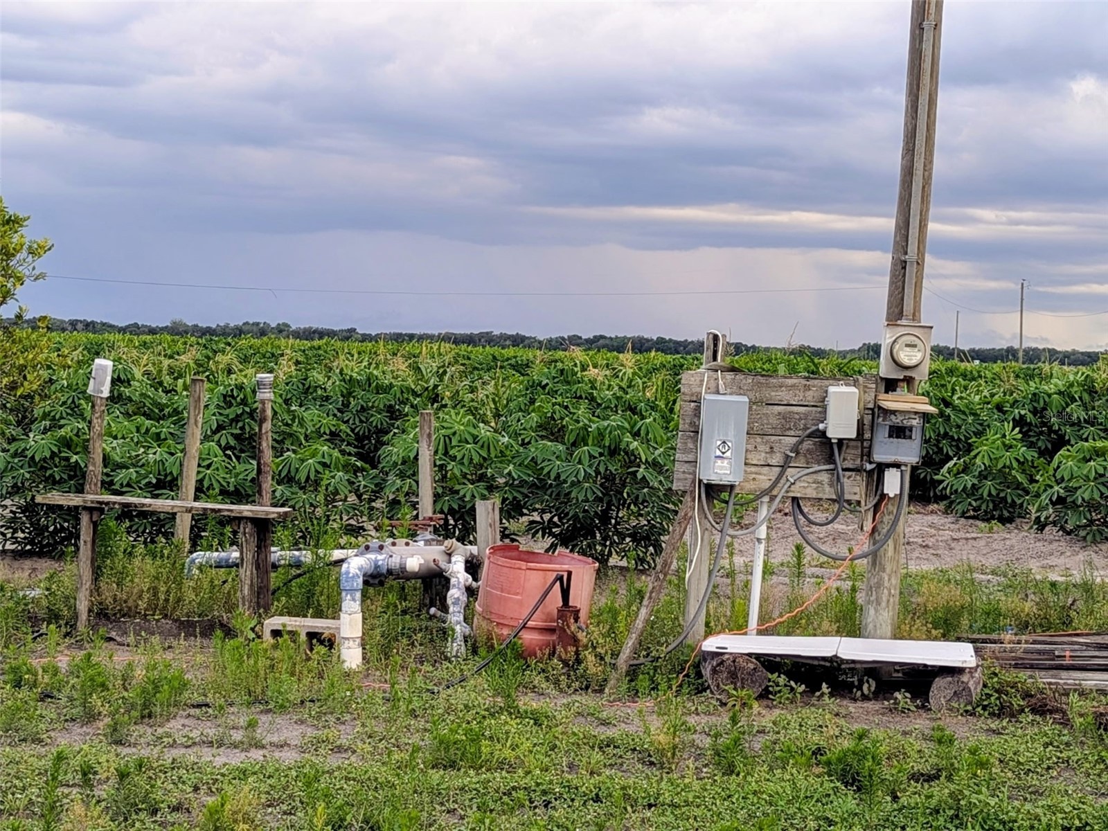 0 Mineral Branch Road Zolfo Springs FL 33890 TB8512492 image11