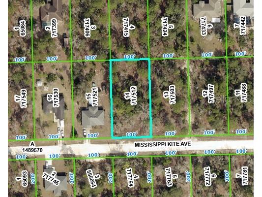 0 Mississippi Kite Weeki Wachee FL 34614 W7855448 image1