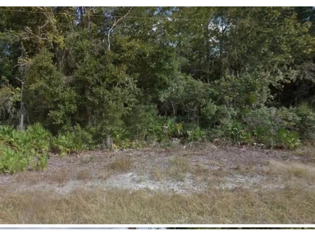 0 Mitchell Avenue Mims FL 32754 V4936042 image3