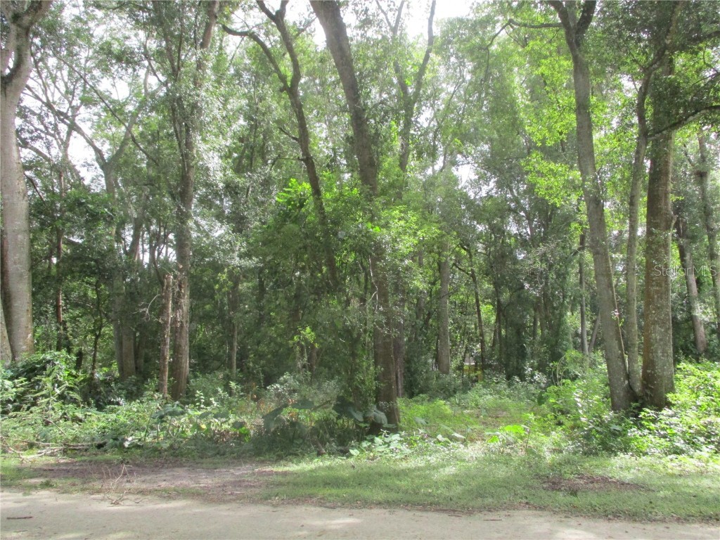 0 Monroe Avenue Brooksville FL 34604 W7858928 image1