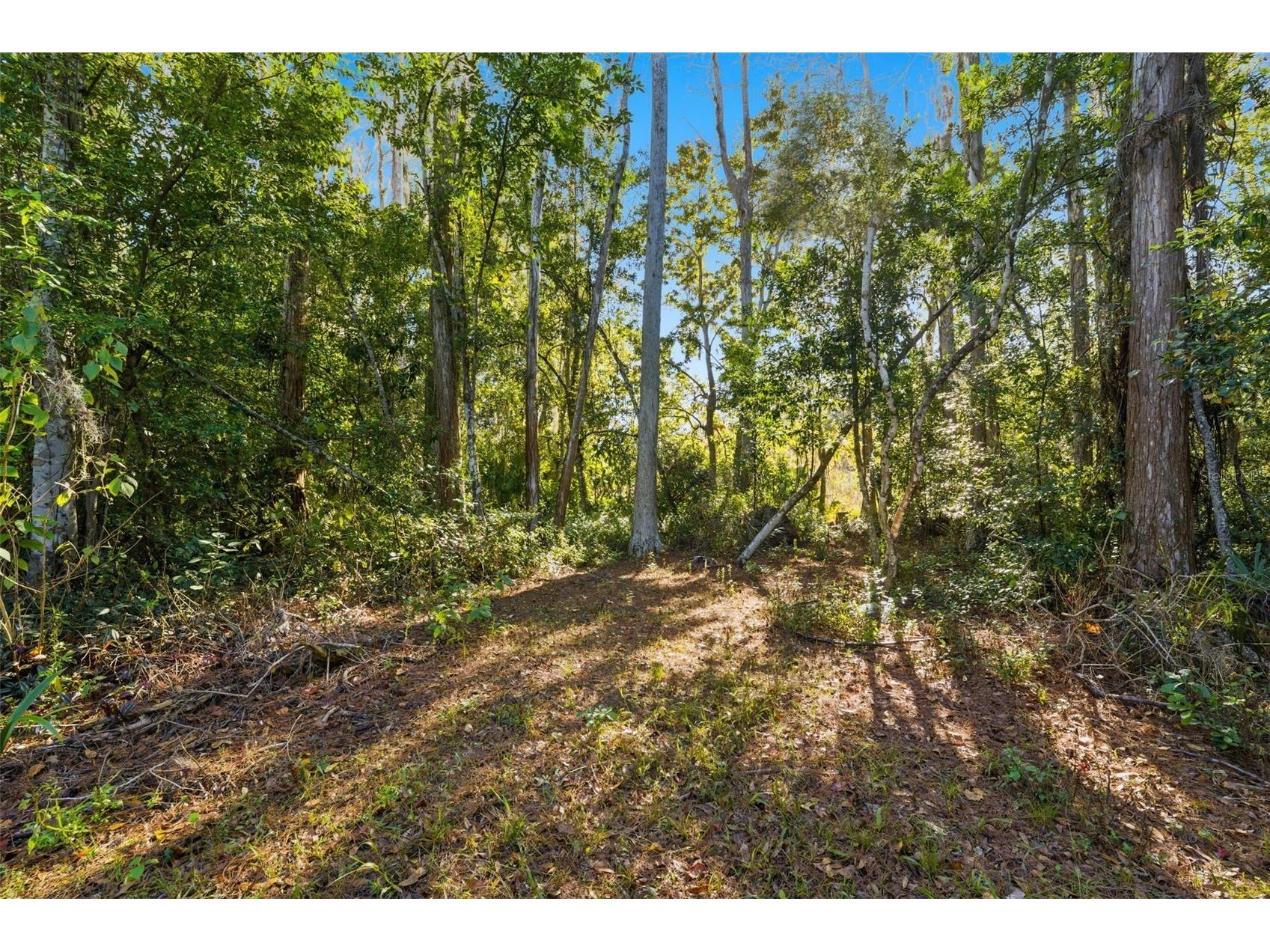 0 Moon Lake Circle New Port Richey FL 34654 - Moon Lake TB8453984 image7