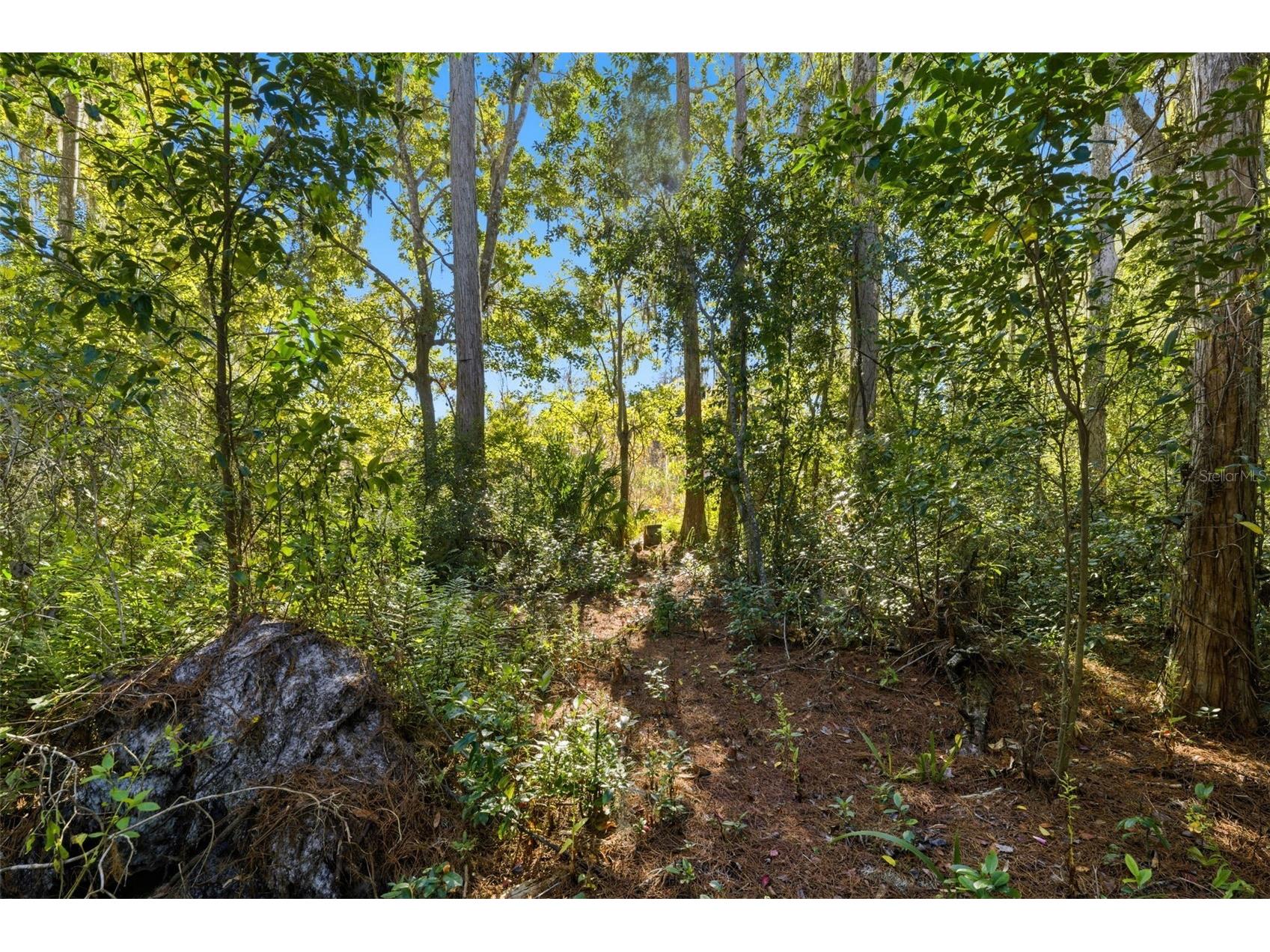 0 Moon Lake Circle New Port Richey FL 34654 - Moon Lake TB8453984 image8