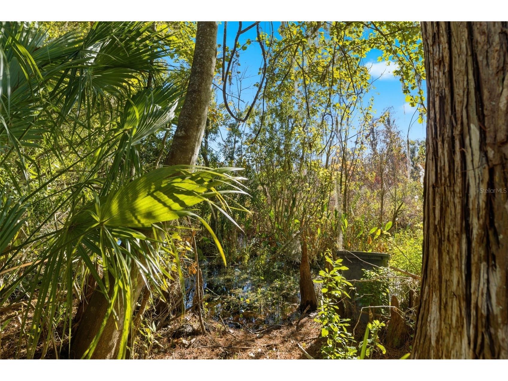 0 Moon Lake Circle New Port Richey FL 34654 - Moon Lake TB8453984 image9