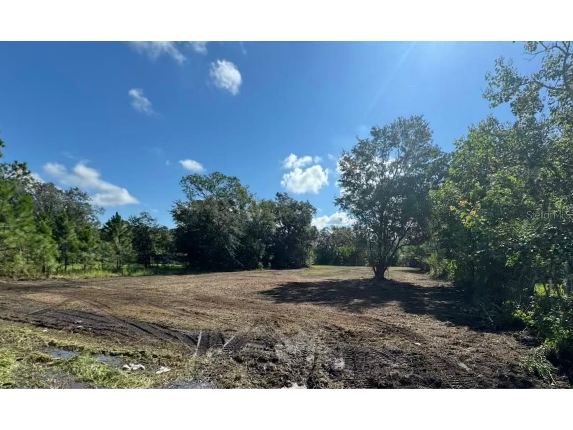 0 Moore Road Lakeland FL 33809 B4902044 image1