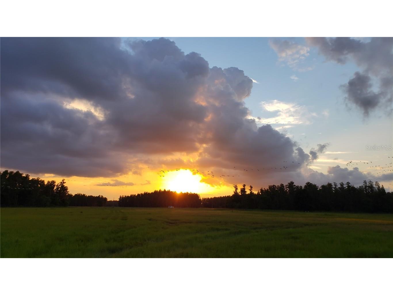 0 Moore Road Lakeland FL 33809 O6280819 image1