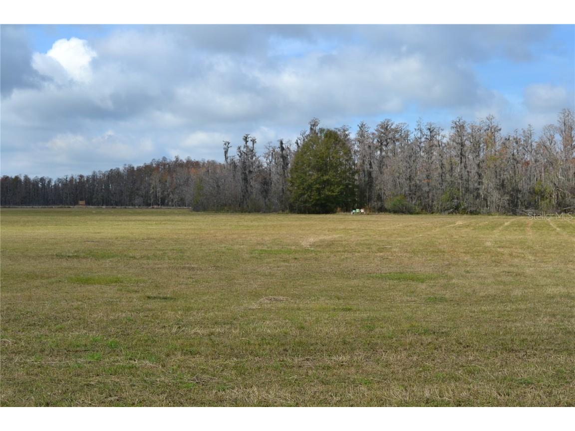 0 Moore Road Lakeland FL 33809 O6280819 image16