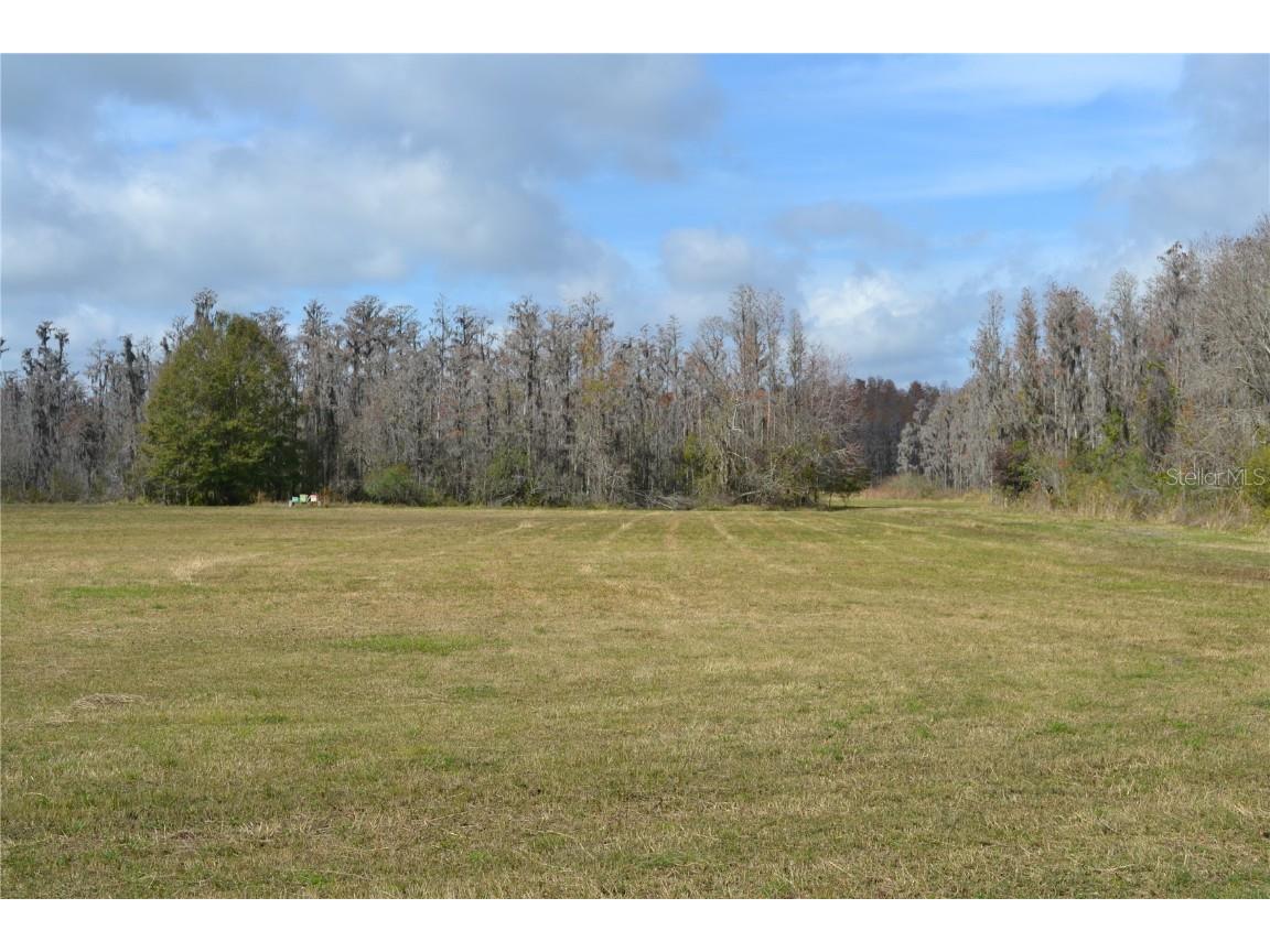 0 Moore Road Lakeland FL 33809 O6280819 image17