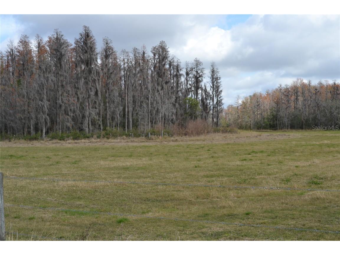 0 Moore Road Lakeland FL 33809 O6280819 image19