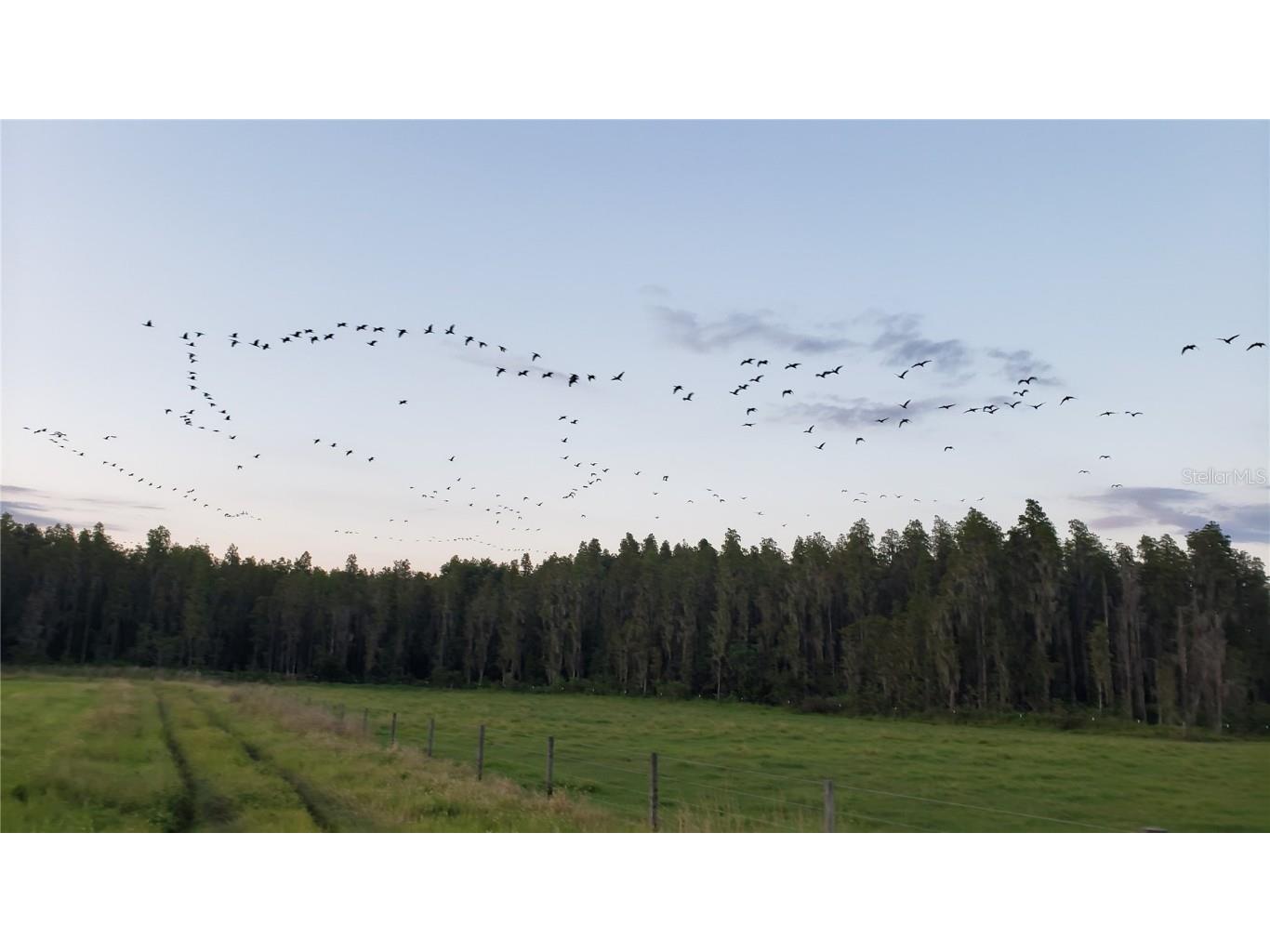 0 Moore Road Lakeland FL 33809 O6280819 image21