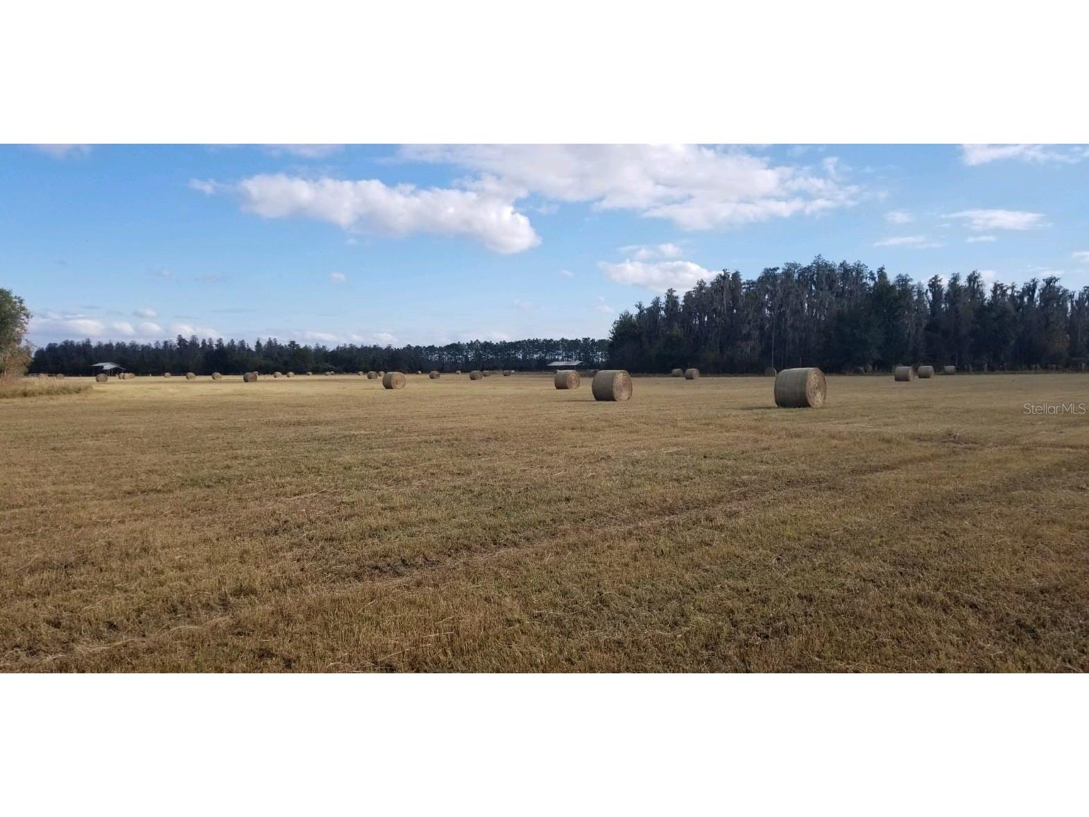 0 Moore Road Lakeland FL 33809 O6280819 image23