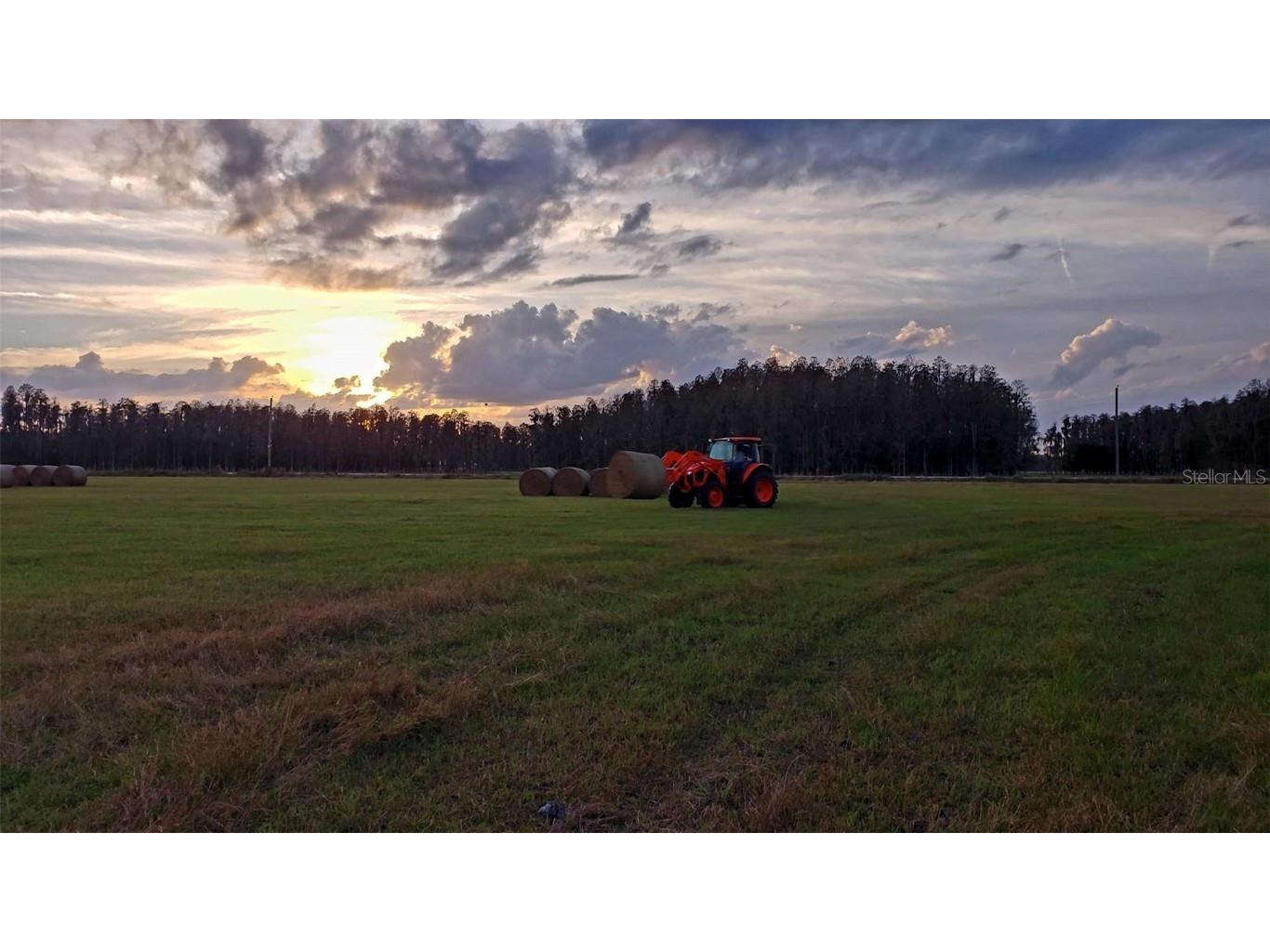 0 Moore Road Lakeland FL 33809 O6280819 image4