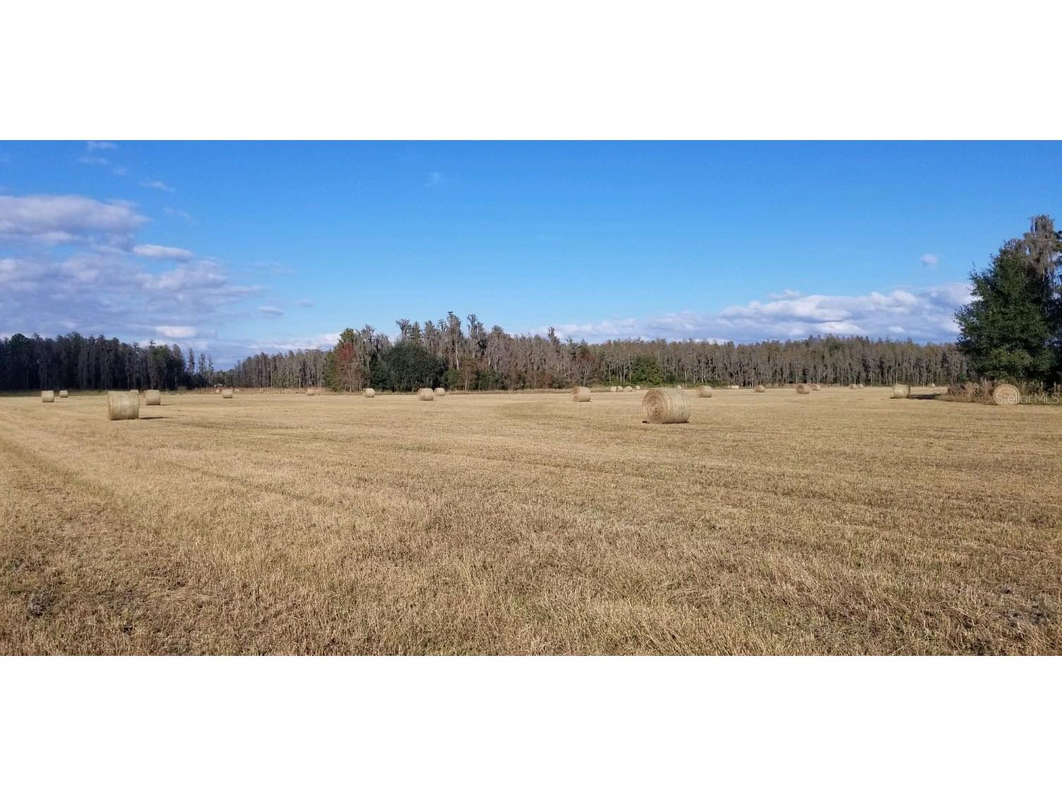 0 Moore Road Lakeland FL 33809 O6280819 image5