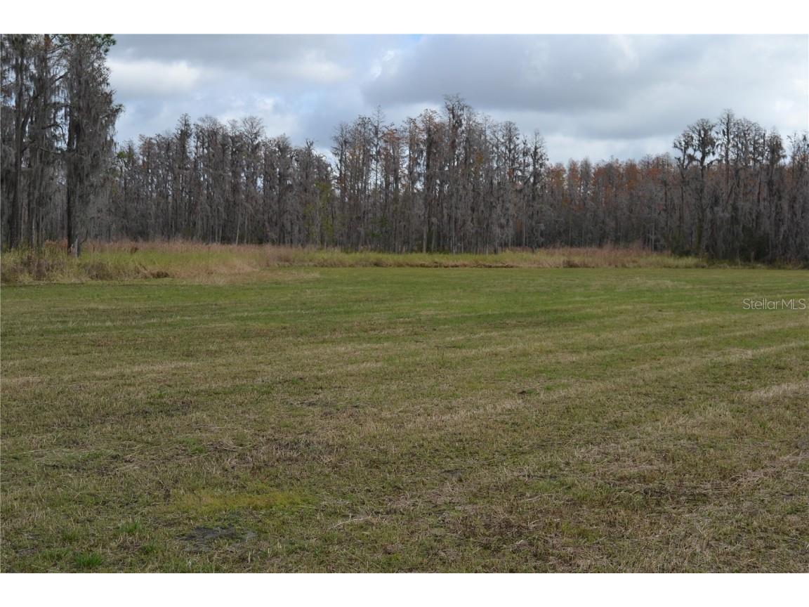 0 Moore Road Lakeland FL 33809 O6280819 image7