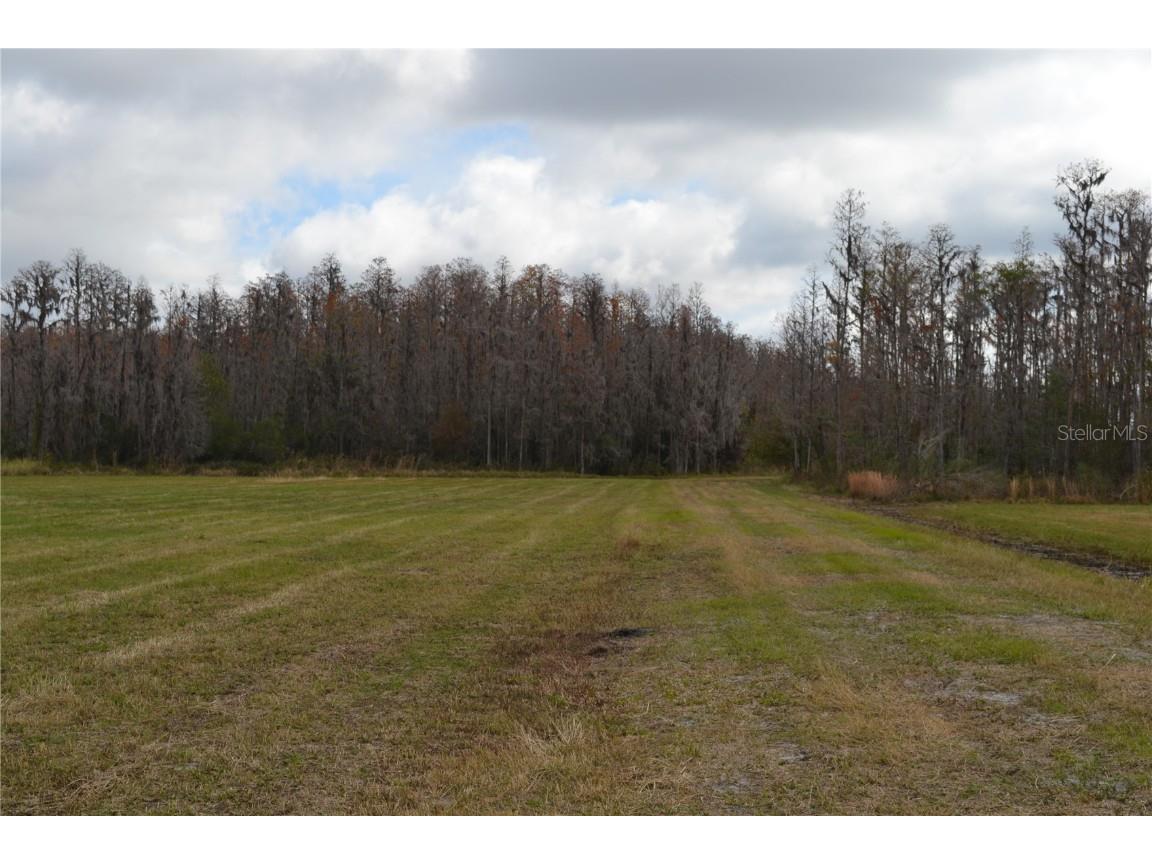 0 Moore Road Lakeland FL 33809 O6280819 image8