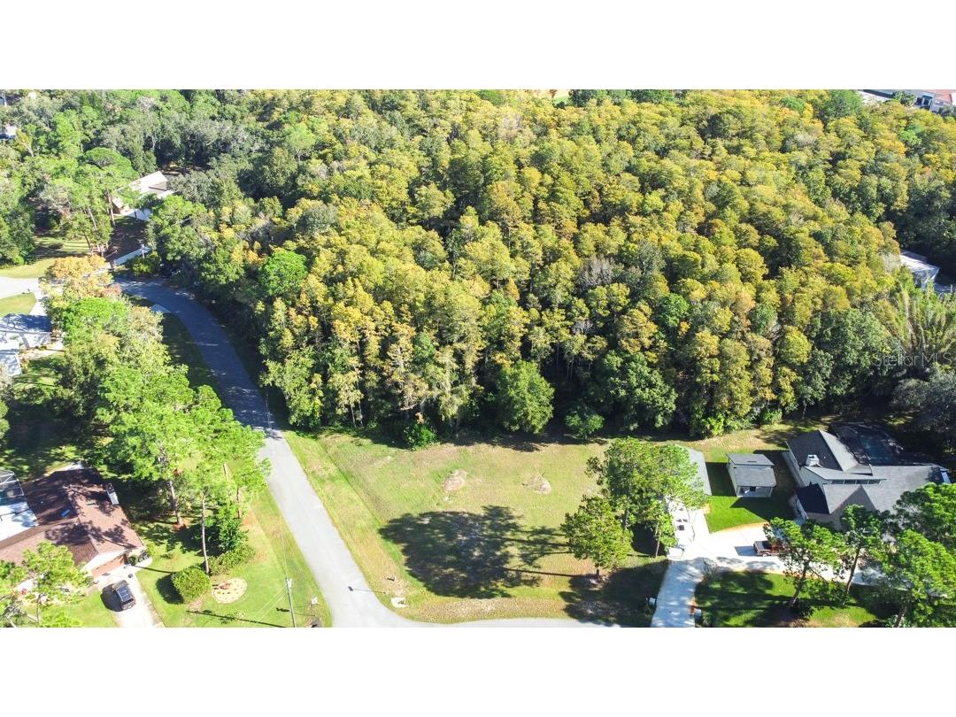 0 Morningsun Court Trinity FL 34655 T3482988 image1