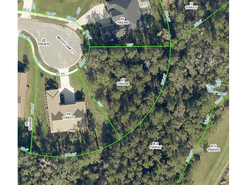 0 Mossy Oak Court Brooksville FL 34601 W7861712 image1
